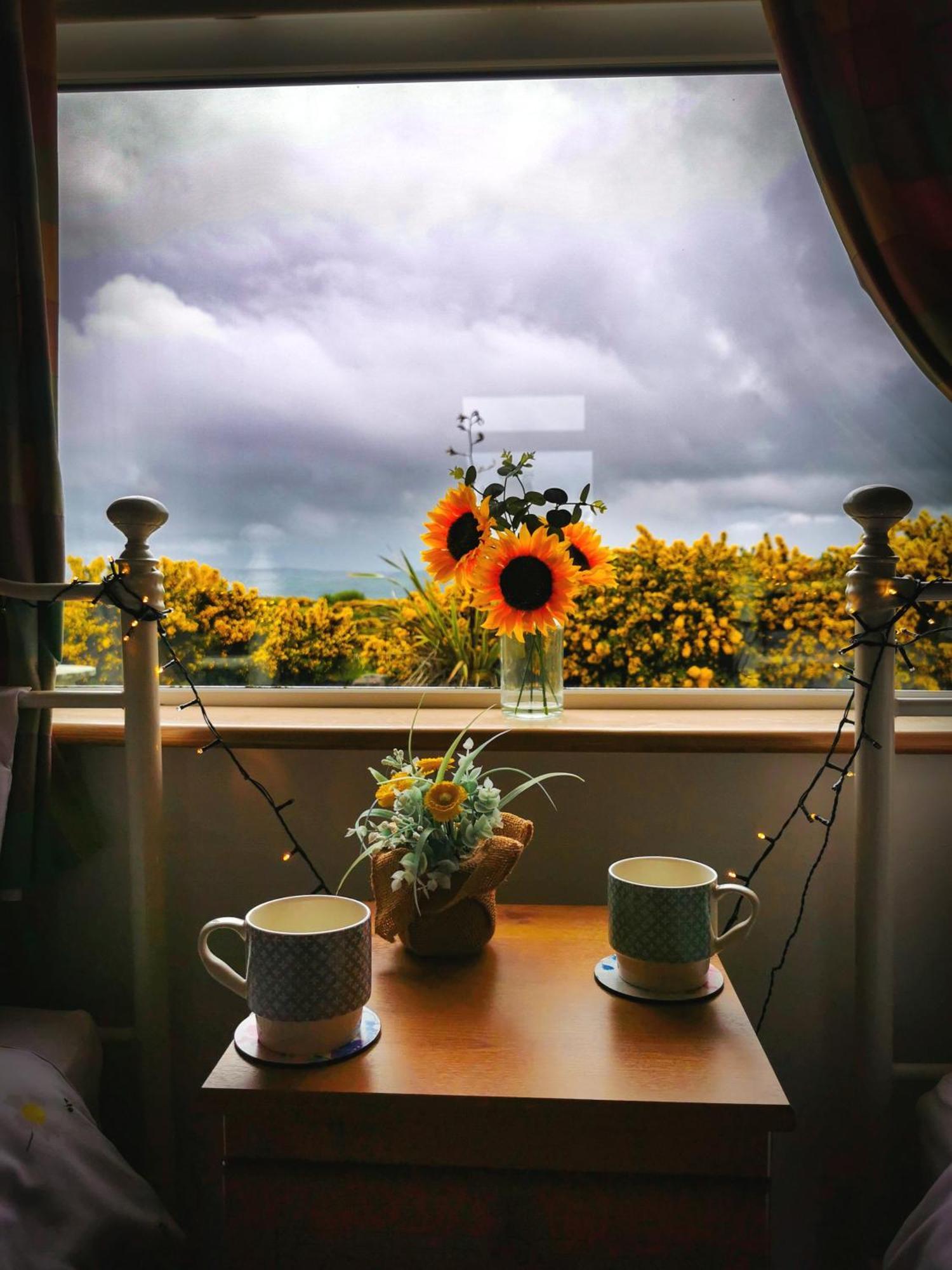 Causeway Coast Country Cottage, Pet-Friendly Ballycastle Exterior photo